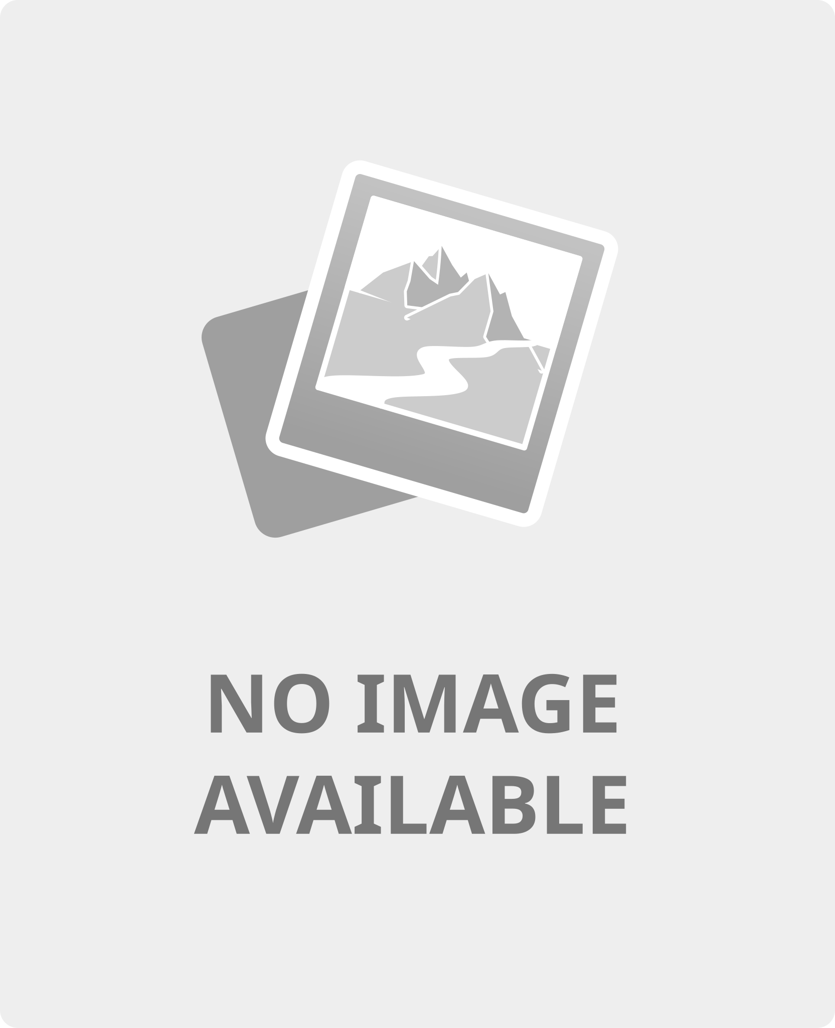 no image placeholder.svg
